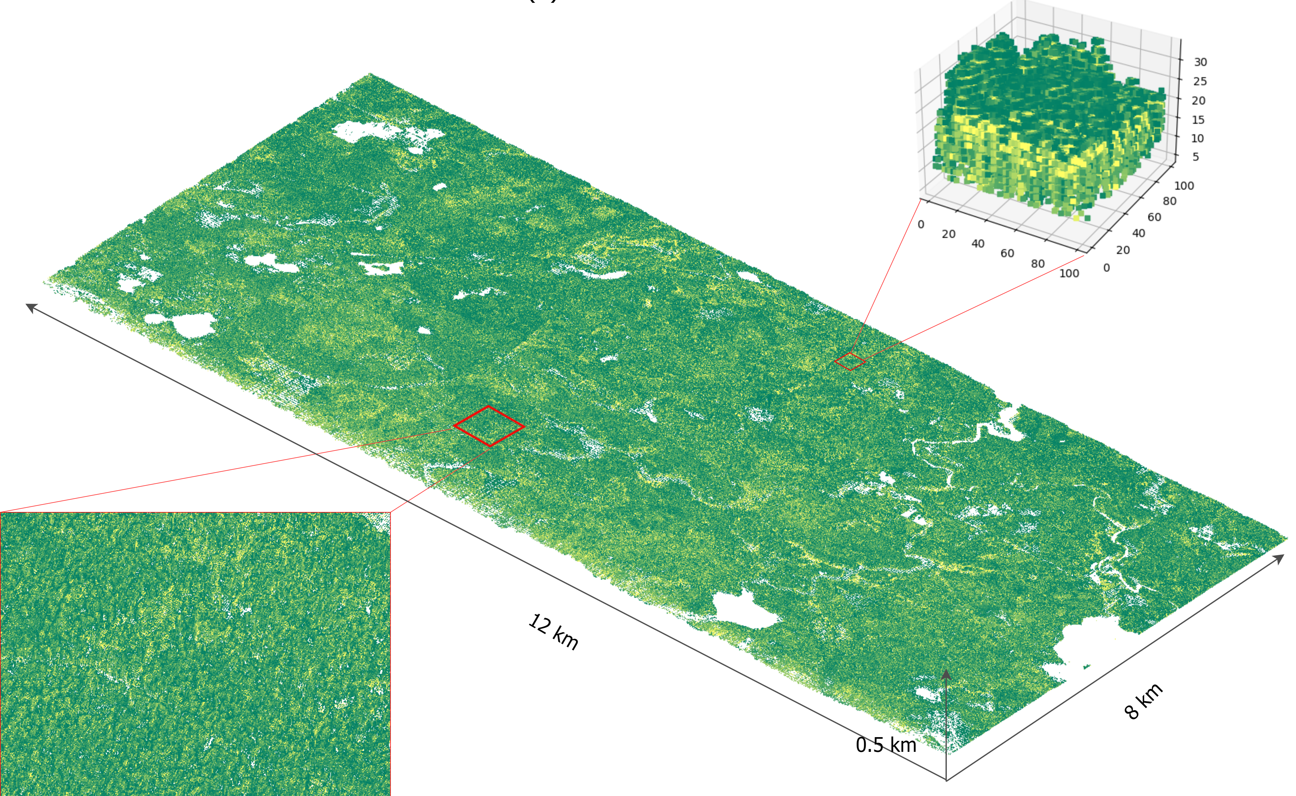 [Release] FoScenes: A Large-scale and High-fidelty 3-D voxel-based Forest Plant Area Density Product Derived From Open-Access Airborne Lidar Data